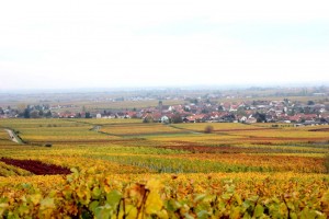 Blick vom Michelberg auf Hainfeld